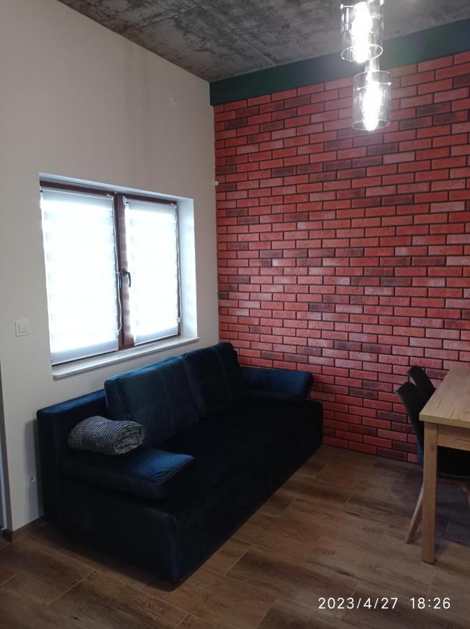 Loft Park Zator, Lokalizacja Przy Wej Parku Villa ภายนอก รูปภาพ