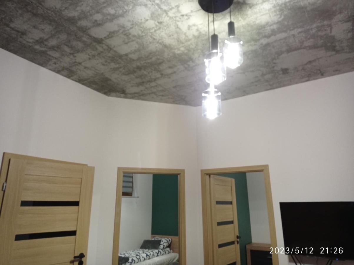 Loft Park Zator, Lokalizacja Przy Wej Parku Villa ภายนอก รูปภาพ